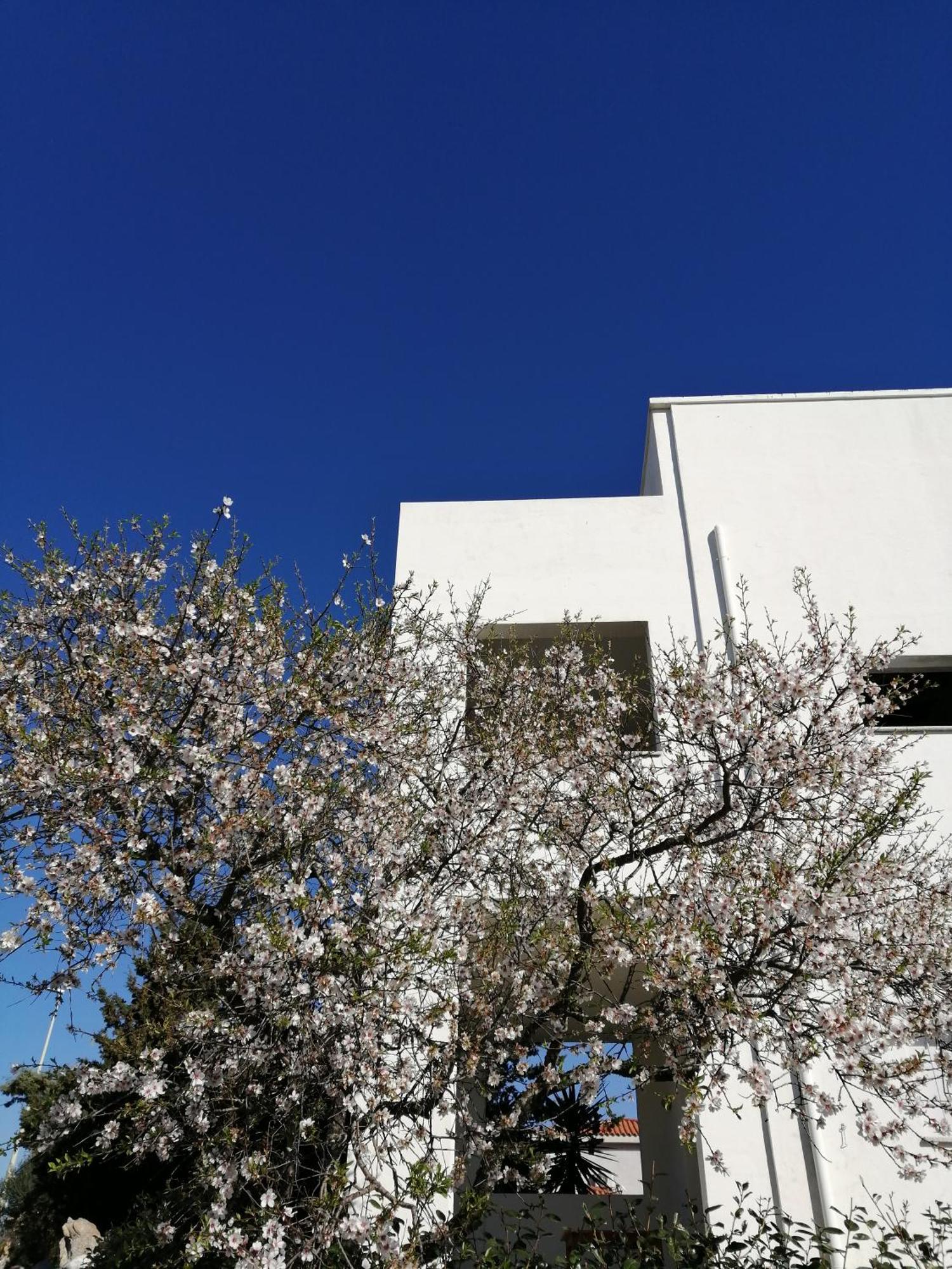 Hotel Oltre Le Dune Murta Maria Exterior foto